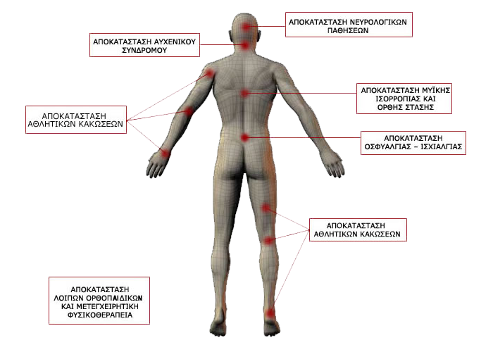 orthopedic article